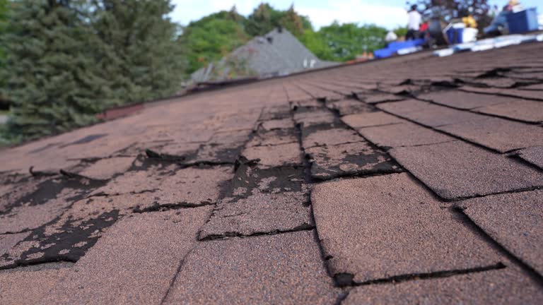 Best Roof Leak Repair  in Freeport, IL